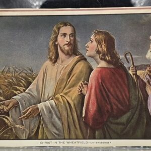 Christ in the Wheatfield Teach